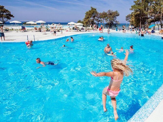 Mobile Homes In Zaton Resort, With Large Pool Area Holiday home Zaton (Zadar)