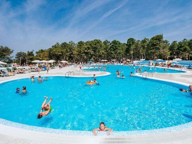 Mobile Homes In Zaton Resort, With Large Pool Area Holiday home Zaton (Zadar)