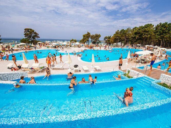 Mobile Homes In Zaton Resort, With Large Pool Area * Zaton (Zadar)